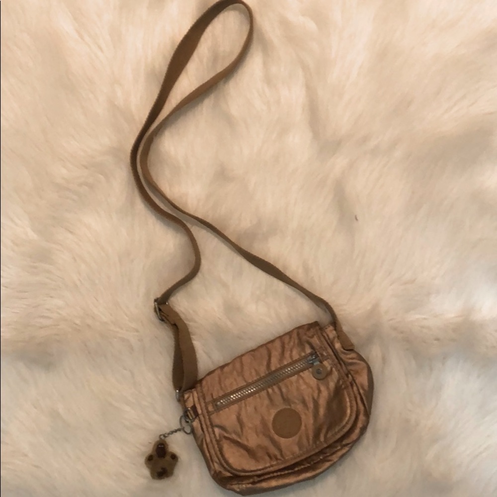 Bronze Cross body Bag